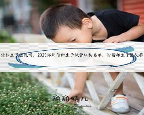 有借卵生子医院吗，2023郑州借卵生子试管机构名单，附借卵生子医院推荐