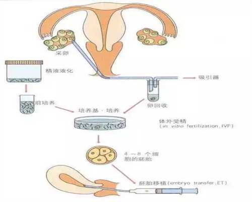 昆明代孕_昆明最靠谱的助孕机构_移植鲜胚第九天